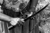 Agnes Cypress collecting medicinal herbs- Big Cypress Seminole Indian Reservation, Florida