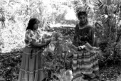 Susie Jim Billie and daughter Agnes Cypress searching for medicinal herbs- Big Cypress Seminole Indian Reservation, Florida