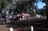 View of tents set up for the Zora Neale Hurston Festival of the Arts and Humanities - Eatonville, Florida