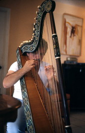 Jesus Rodriguez playing the Venezuelan harp- Naples, Florida