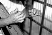 Hands of Jesus Rodriguez playing Venezuelan harp- Miami, Florida.