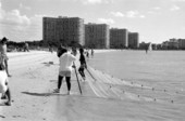 Group of boys pulling in a cast net they are fishing with