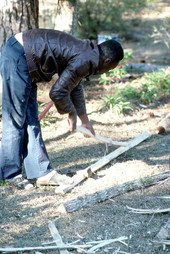 Alphonso Jennings stripping a white oak tree in order to make baskets - Lamont, Florida
