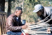 Apprentice Michael Steen (R) watches teacher Alphonso Jennings weave a white oak basket - Lamont, Florida