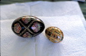 Easter eggs decorated by Ola Kryway and apprentice Mary Martin using the Ukrainian pysanky technique - Titusville, Florida.