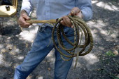 Closeup of cow whip made by George "Junior" Mills - Okeechobee, Florida.