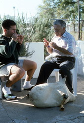 Tsabouna player Nikitas Tsimouris listens as his apprentice and grand-nephew Nikitas Kavouklis plays the practice chanter. The tsabouna is in the foreground - Tarpon Springs, Florida