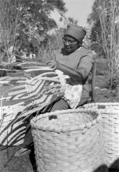 Lucreaty Clark weaving a white oak basket - Florida.