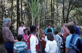 Bob Stone explains sugarcane cultivation to school children - White Springs, Florida.