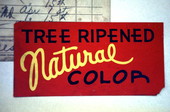 Close up of a produce label.