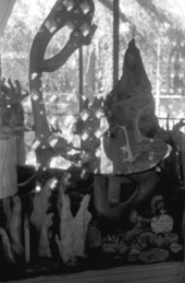Cypress knees in a display at the Cypress Knee Museum - Palmdale, Florida.