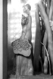 Cypress knee at the Cypress Knee Museum - Palmdale, Florida.
