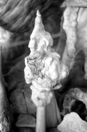 Cypress knee at the Cypress Knee Museum - Palmdale, Florida.