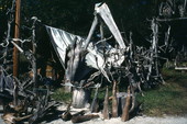 Cypress wood in the yard at the Cypress Knee Museum - Palmdale, Florida.