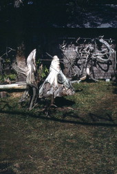 Cypress wood on display at the Cypress Knee Museum - Palmdale, Florida.