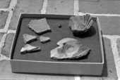 Artifacts from Hernando de Soto's winter encampment excavation site - Tallahassee, Florida.