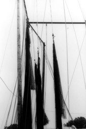 Fishing nets made by Burbank Trawl Makers hung up to dry after "dipping"- Fernandina Beach, Florida