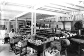 Interior of Winter Haven Citrus Company packing-house