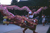 View showing a dragon dance being performed at the Splendid China theme park in Citrus Ridge, Florida during a Chinese New Year show.