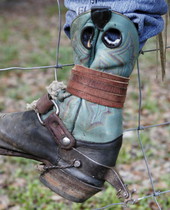 Close-up view showing the boot and spur of bull rider Stephen Keighley in Williston, Florida.