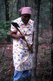 Basket maker Lucreaty Clark preparing to cut down a white oak tree
