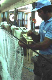 Billy Burbank III stringing up a fishing net - Fernandina Beach, Florida