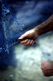 Billy Burbank II repairing a fishing net - Fernandina Beach, Florida