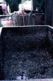 Tar vat used by Billy Burbank III for making nets - Fernandina Beach, Florida