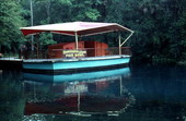 Area known as the "Fish Bowl", where people can go underwater and see fishes - Homosassa Springs, Florida