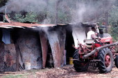 Building where cane syrup is being boiled - Jasper, Florida.