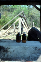 Bottles of sugar cane syrup with cane grinding machinery in the background - Jefferson County, Florida