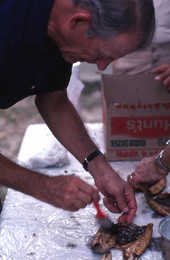 Basting mullet at a fish fry - Monticello, Florida.