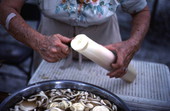 Bernice Livingston cutting swamp cabbage into a bowl - Mayo, Florida.