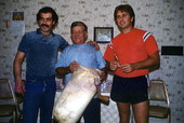 Portrait of Greek American musicians George Pilatos (L), Nikitas Tsimouris, and Antonios Tsimouris (R) - Tarpon Springs, Florida