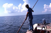Oystering with tongs - Apalachicola, Florida.