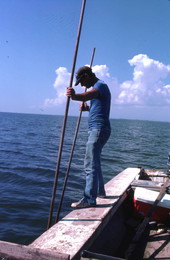 Oystering with tongs - Apalachicola, Florida.