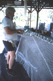 Costa Buzier hanging a trawl net and sewing webbing - Apalachicola, Florida.