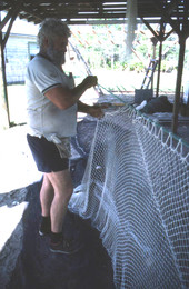 Costa Buzier hanging a trawl net and sewing webbing - Apalachicola, Florida.