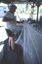 Costa Buzier hanging a trawl net and sewing webbing - Apalachicola, Florida.