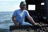 Folklorist David Taylor culling oysters - Apalachicola Bay, Florida