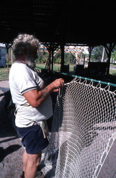 Costa Buzier ties net webbing of shrimp trawl - Apalachicola, Florida.