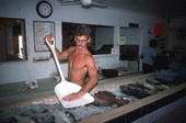 Employee of Lewis and Sons Fish Market putting ice over fish- New Berlin, Florida