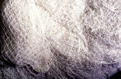Fishing nets - Jacksonville, Florida.