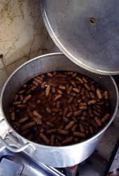 Boiled peanuts being cooked in a pot - Jacksonville, Florida.