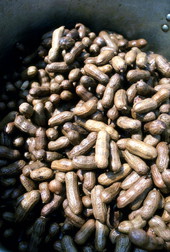 Boiled peanuts - Jacksonville, Florida.