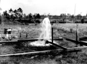 Flowing artesian well at abandoned turpentine still site of M.E. Parker - near Carrabelle