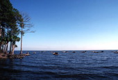 Oyster boats at Indian Pass.
