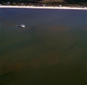 Aerial view showing a shrimp boat near Mexico Beach, Florida.