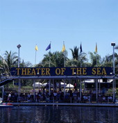 Audience watching animal trainer working with dolphins at the Theater of the Sea marine mammal park in Islamorada, Florida.