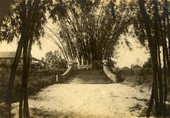 Bamboo Landing on Estero River.